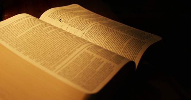 Bible336
